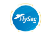 Flyseg